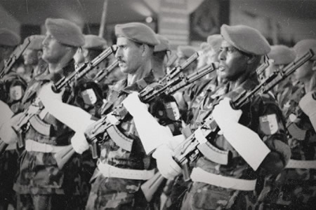 Algeria’s 2017 defense spending down, still highest in AfricaF