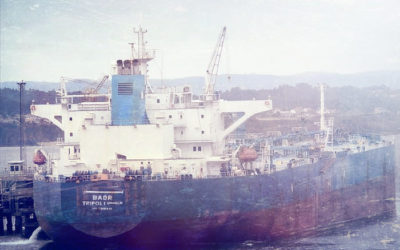 Libya: Bulgaria investigates alleged illegal sale of Libyan tanker, as Libya orders seizure of Bulgarian shipsF