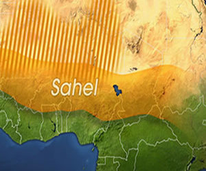 Sahel: French and US forces assess their cooperation on the Sahel as Trump remains uncommitted