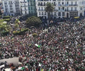 Algeria: Protests maintain pressure against regime in ninth consecutive Friday of demonstrationsF