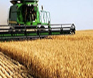 Algeria’s wheat imports to hit record volumes this summer ($)