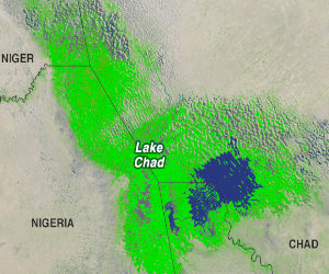 Sahel: Lake Chad nations want $100 million to fight global warming