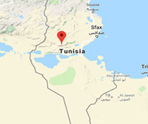 Tunisia: Army kills two insurgents near Bou Amrane