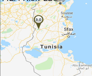 Tunisia: Army kills suspected militant in Kasserine