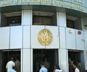 Algeria: Public banks prepare to strike on 10 November