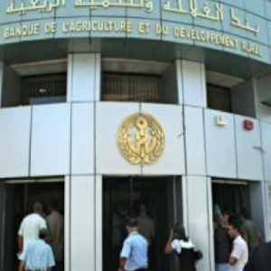 Algeria: Public banks prepare to strike on 10 NovemberF
