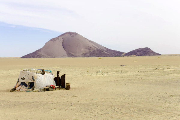 Analysis: Northern half of Africa bracing for upheaval this yearF