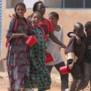 Sahel: Nearly 300 children killed or maimed in Mali conflict in 2019F