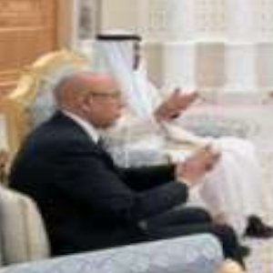 Mauritania:  UAE targets Mauritania, sets foothold there with investment commitmentF