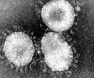 North Africa’s first case of coronavirus confirmed in Egypt