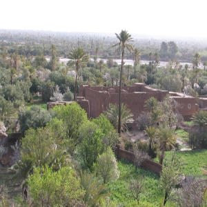 North Africa confronting tough climate changeF