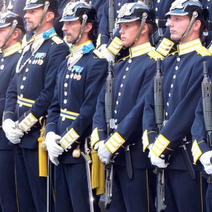 Sahel: Swedish soldiers headed to Mali in yet another French operationF