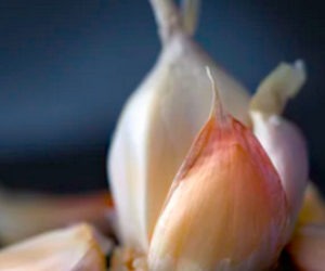 Tunisians rush to buy garlic to fight coronavirus