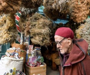 Tunisians turn to herbalists to thwart the coronavirus