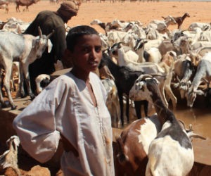 Niger: Attack on IDP camp in west Niger prompts thousands of refugees to flee