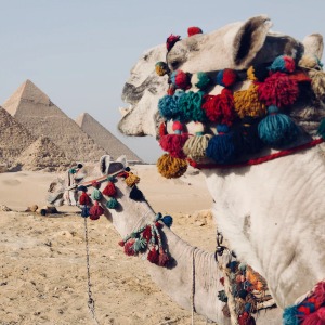 Egypt wants tourists to return, reopening Red Sea resortsF