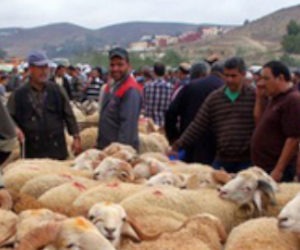 Morocco braces for Eid al-Adha in the middle of a pandemic