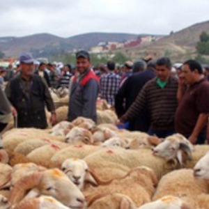 Morocco braces for Eid al-Adha in the middle of a pandemicF
