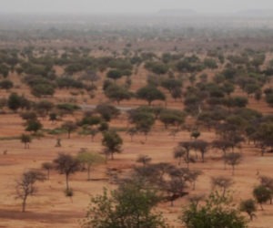 Sahel braces for more warming and a wetter climate