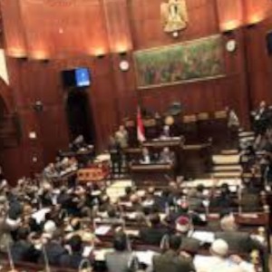 Egypt: Sisi strengthens his powers with loyalists winning upper house seats