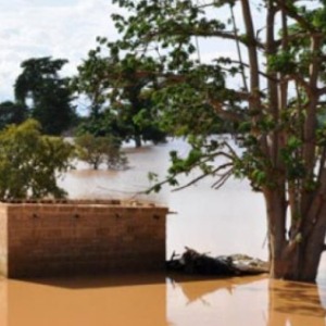 Environment: The sad ending of a giraffe, killed by Niger’s heavy rainsF