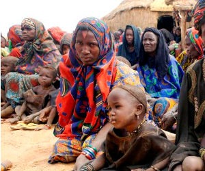 Sahel: UN seeks to integrate Mali refugees in Niger population