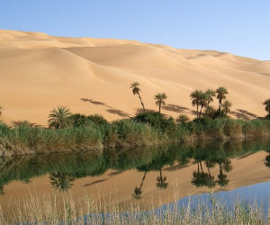 The Sahara’s 2 billion trees