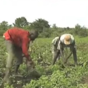 Sahel: Several killed in ethnic violence in Chad’s Kabbia regionF