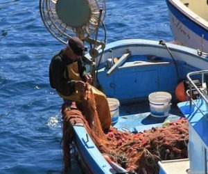 The Mediterranean Sea’s fishing wars