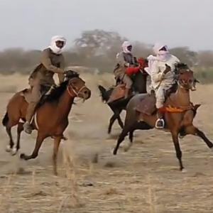 Chad: Deadly communal clashes in SalamatF