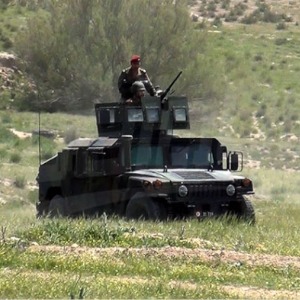 Tunisian army clashes with insurgents in Mount Chaambi, kills five suspectsF