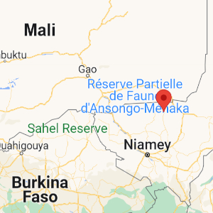 Sahel: Insurgents strike in Banibangou Niger, kill dozen civiliansF