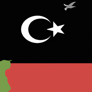 Libya: Tripoli-based government inks controversial defense agreements with TurkeyF