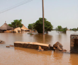 Sahel: Record death toll from floods in Niger