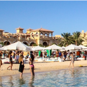 Egypt: Shark attack claims life of foreign resident in resort city of HurghadaF