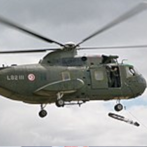 Tunisia: Army helicopter crashes at sea, killing four soldiersF