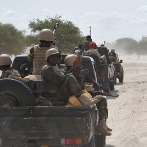 Sahel: 29 Niger soldiers killed by suspected jihadists