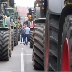 Agriculture: Spanish farmers say Moroccan strawberries carry virus, as Morocco surpasses Spain as tomato supplier to EU