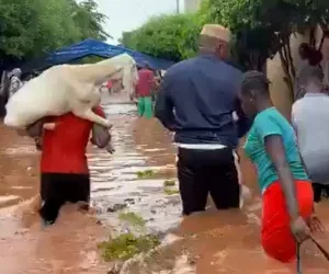 Sahel/Sahara: Unprecedented Summer Flooding Devastates Numerous Regions